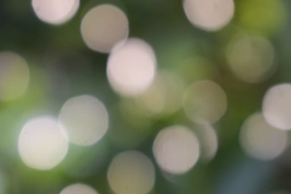 旅するように装う夏へ｜ADAWAS 大人の涼しいカットソーコレクション