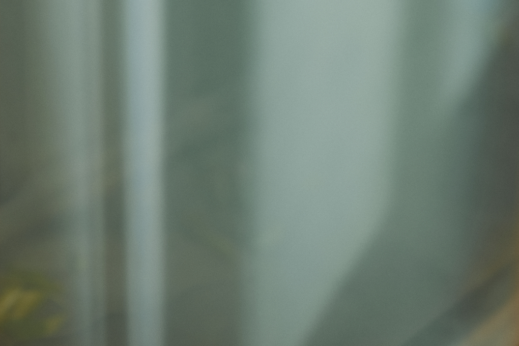 夏期休暇と出荷スケジュールのお知らせ