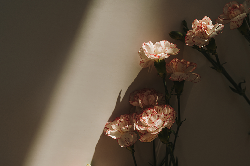 HAPPY MOTHER’S DAY<br>ありがとうを、さりげなく上質に。